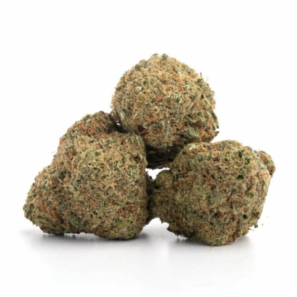 Amnesia Haze THCa Flower buds wholesale