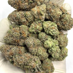 Black Russian THCa Flower with deep green buds and orange hairs