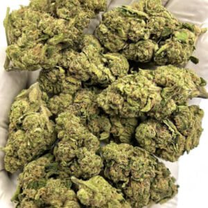 Blueberry Kush THCa Flower buds with frosty trichomes and blue-purple hues