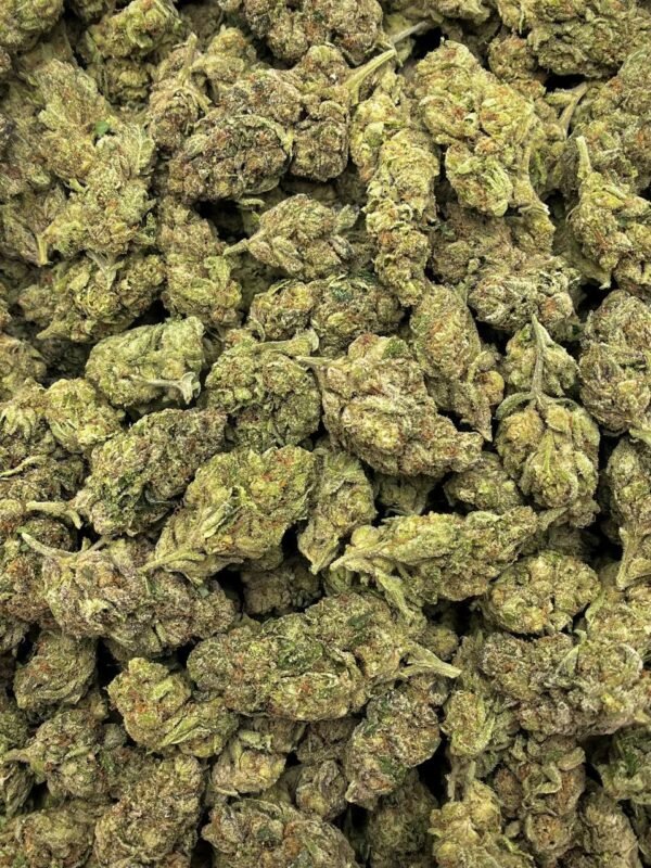 Bulk Blueberry Kush THCa Flower for wholesale buyers