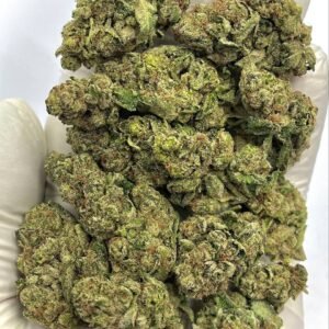 Bulk Bubble Bath THCa Flower available for wholesale buyers