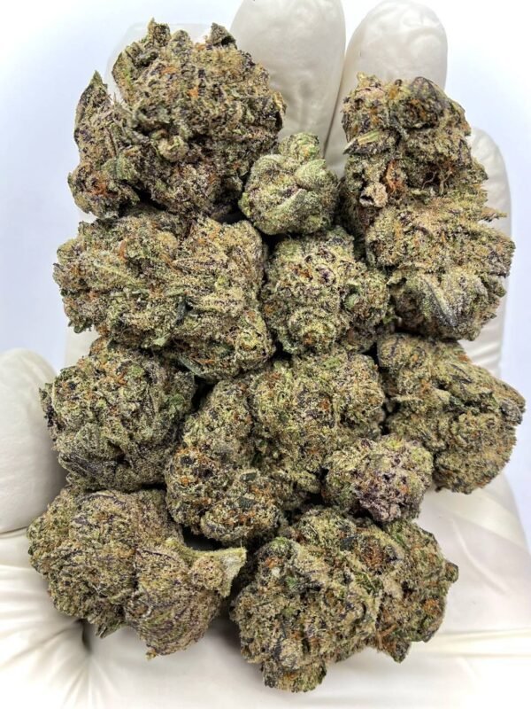 Bulk Bucketz THCa Flower for wholesale distribution