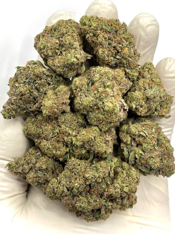 Bulk Cairo THCa Flower for wholesale buyers