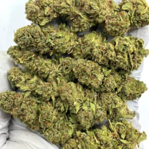 Bulk Delahaze CBD Flower Packaging