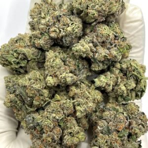 Champagne Kush CBD Flower Buds