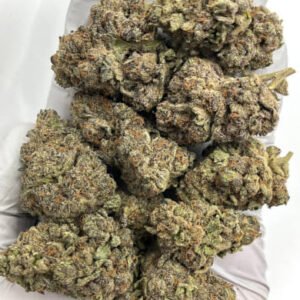 Close-up of Colada CBD Flower Buds