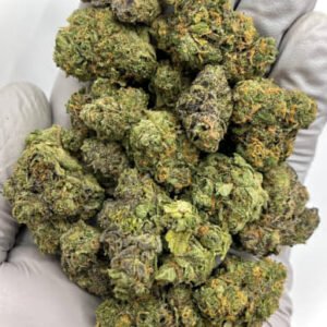 Close-up of Cookies Kush CBD Flower Buds