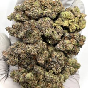 Close-up of Critical Mass CBD Flower Buds