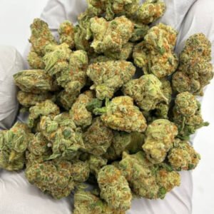 Close-up of Electric Honeydew CBD Flower Buds