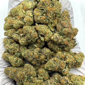 Close-up of Elida CBD Flower Buds